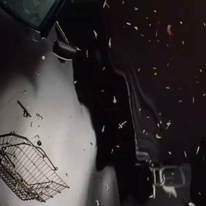 Meet your Posher, Tarrena